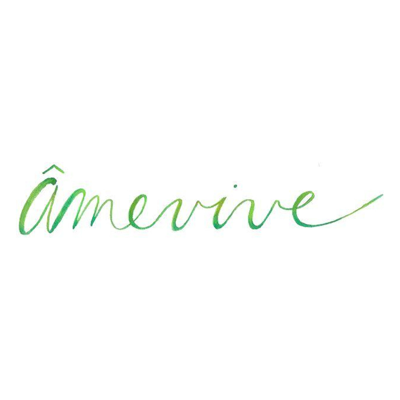 Amevive Wine Syrah Ibarra-Young Vineyard Los Olivos 2023 750ml
