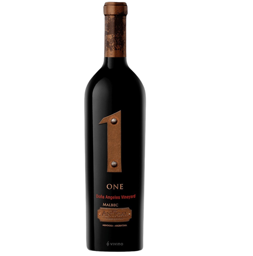Antigal Malbec One Dona Angeles Vineyard Tupungato 2019 Wood Box