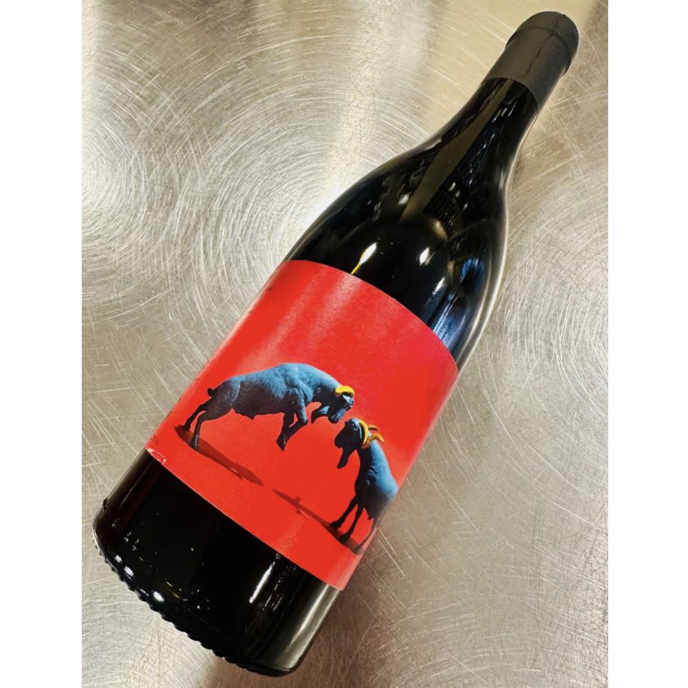 Agricola Calcarea Porfia Tinto Tintilla Rota 2023 750ml